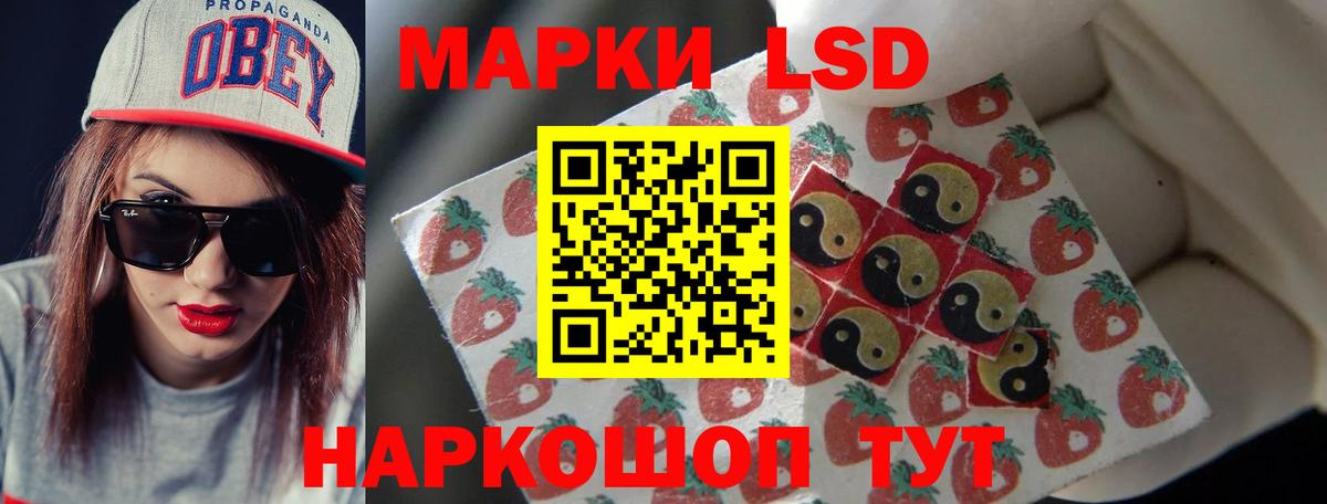 Ногинск  ЛСД экстази кислота  Лсд 25 экстази  Лсд 25 экстази кислота  Вход с VPN 
