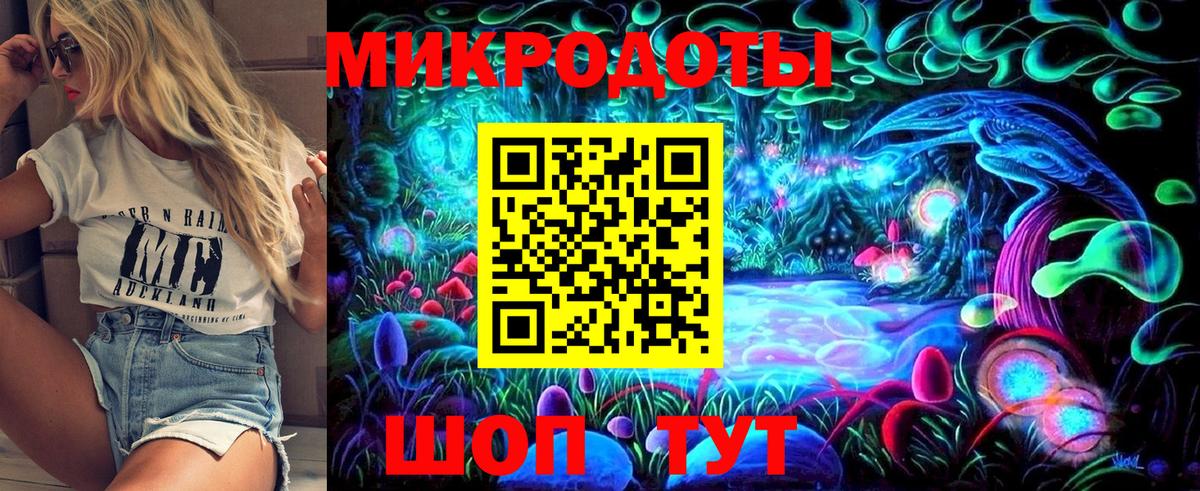 Галлюциногенные грибы Psilocybe Ногинск