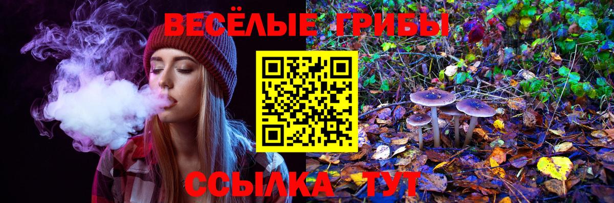 Псилоцибиновые грибы прущие грибы  Вход с VPN  Ногинск 